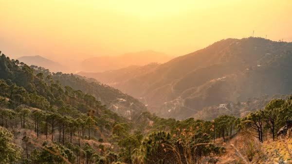 The Charvi Retreat Kufri By Exotic Stays Dış mekan fotoğraf