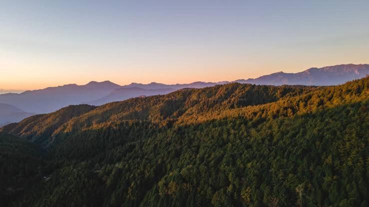 The Charvi Retreat Kufri By Exotic Stays Dış mekan fotoğraf