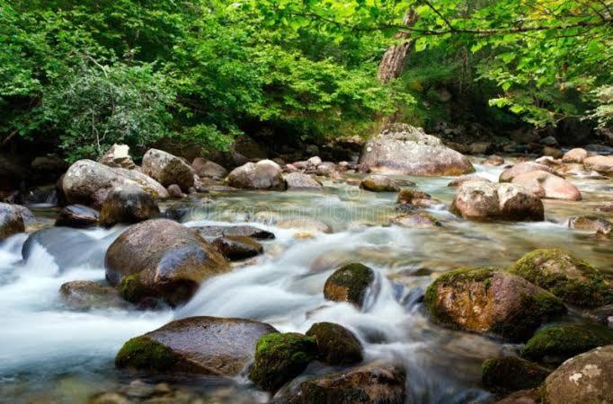 The Charvi Retreat Kufri By Exotic Stays Dış mekan fotoğraf